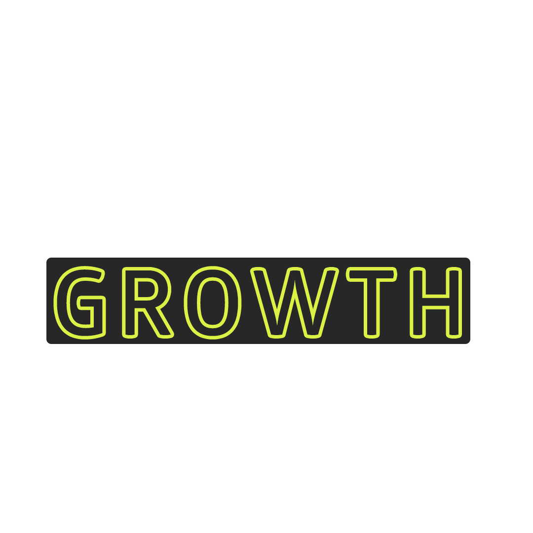 Ecomm Growth E-comm Growth - Focado em E-commerce - Gabriel Santana - Loja online