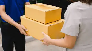 O Desafio das Entregas no E-commerce Brasileiro